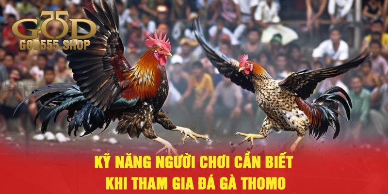 Kỹ năng người chơi cần biết khi tham gia đá gà Thomo