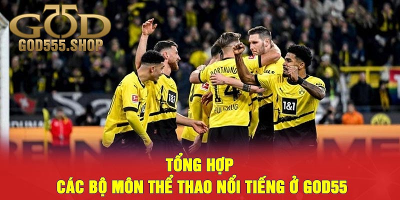 Tổng Hợp Các Bộ Môn Thể Thao Nổi Tiếng Ở GOD55